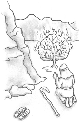 burngbush.gif (39306 bytes)