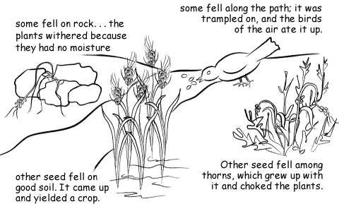 sowseeds.gif (19587 bytes)