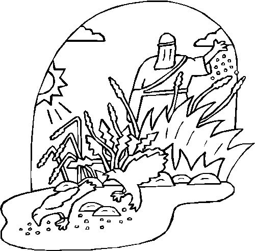 The Sower and the Seed